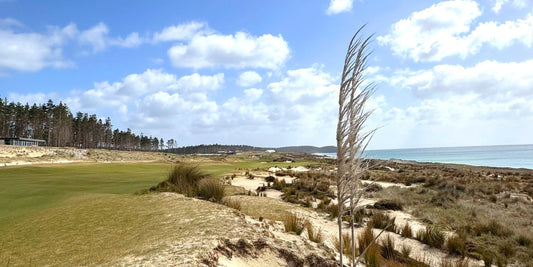 Te Arai South - Stagg
